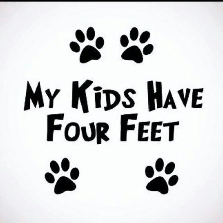 my kids have 4 feet